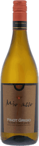 Miopasso pinot grigio Bestel Miopasso Pinot Grigio bij Casa del Vino