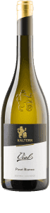 Kaltern vial pinot_bianco Bestel Kaltern Caldaro Pinot Bianco Vial bij Casa del Vino