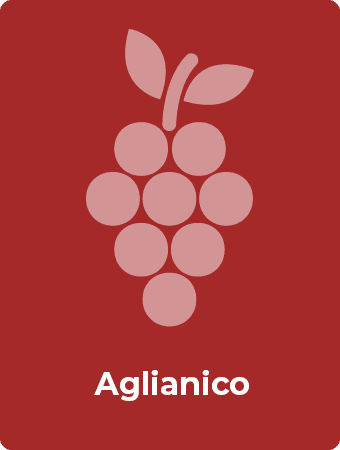 Aglianico druif