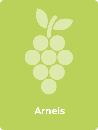 Arneis druif