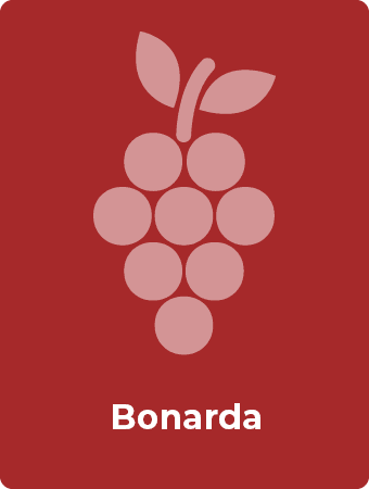 Bonarda druif