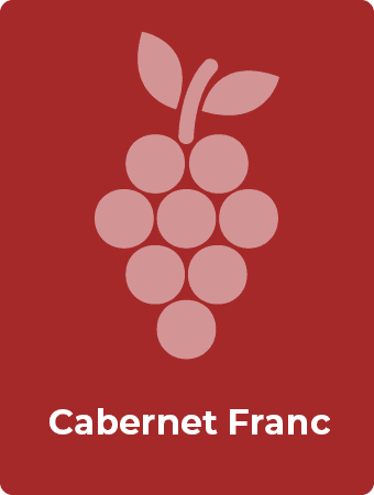 Cabernet Franc druif