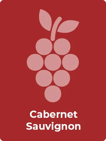 Cabernet Sauvignon druif