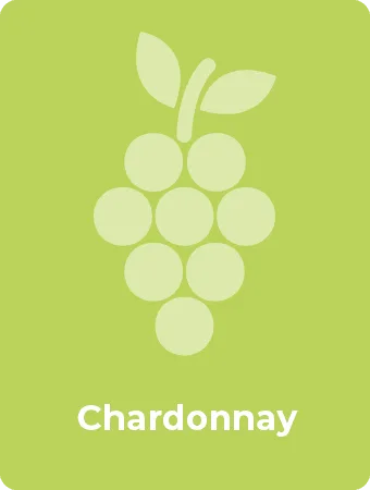 Chardonnay druif