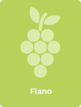 Fiano druif