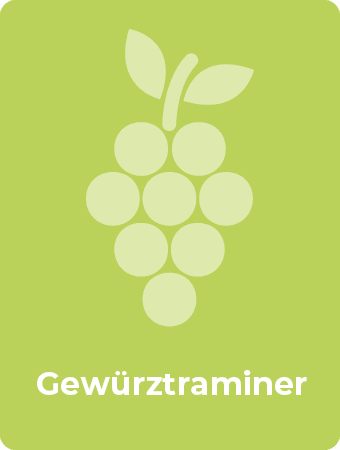 Gewürztraminer druif