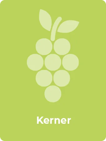 Kerner druif