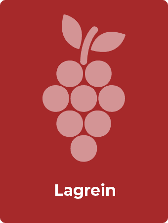 Lagrein druif