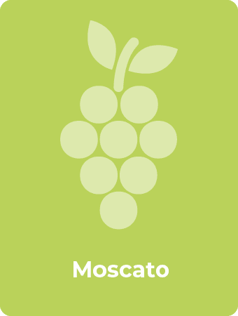 Moscato druif