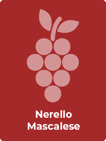 Nerello Mascalese druif