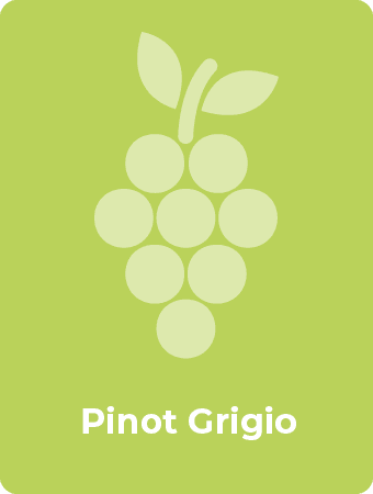 Pinot Grigio druif