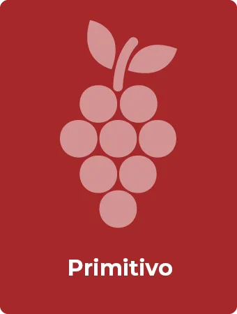 Primitivo druif