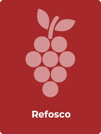Refosco druif