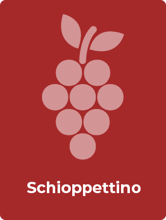 Schioppettino druif