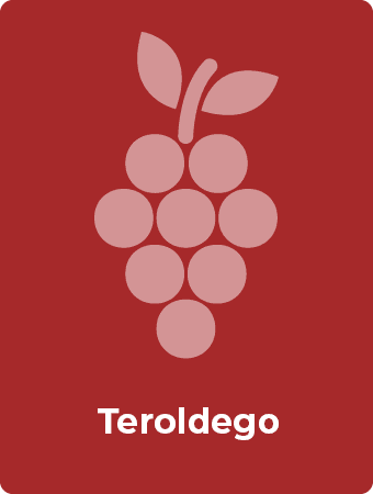 Teroldego druif