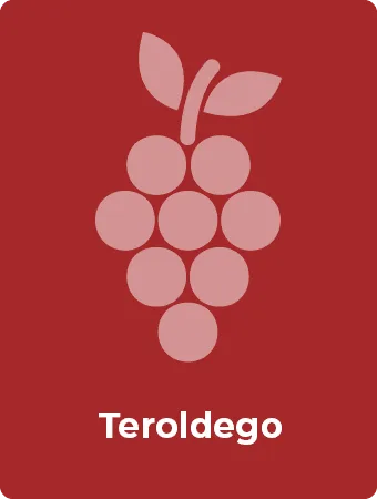 Teroldego druif