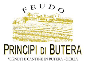 Feudo principe di butera