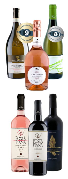 Kleuterschool Beneden afronden Verdeelstuk Proefpakket 6 Italiaanse wijnen: rood - wit - rosé - Casadelvino.nl