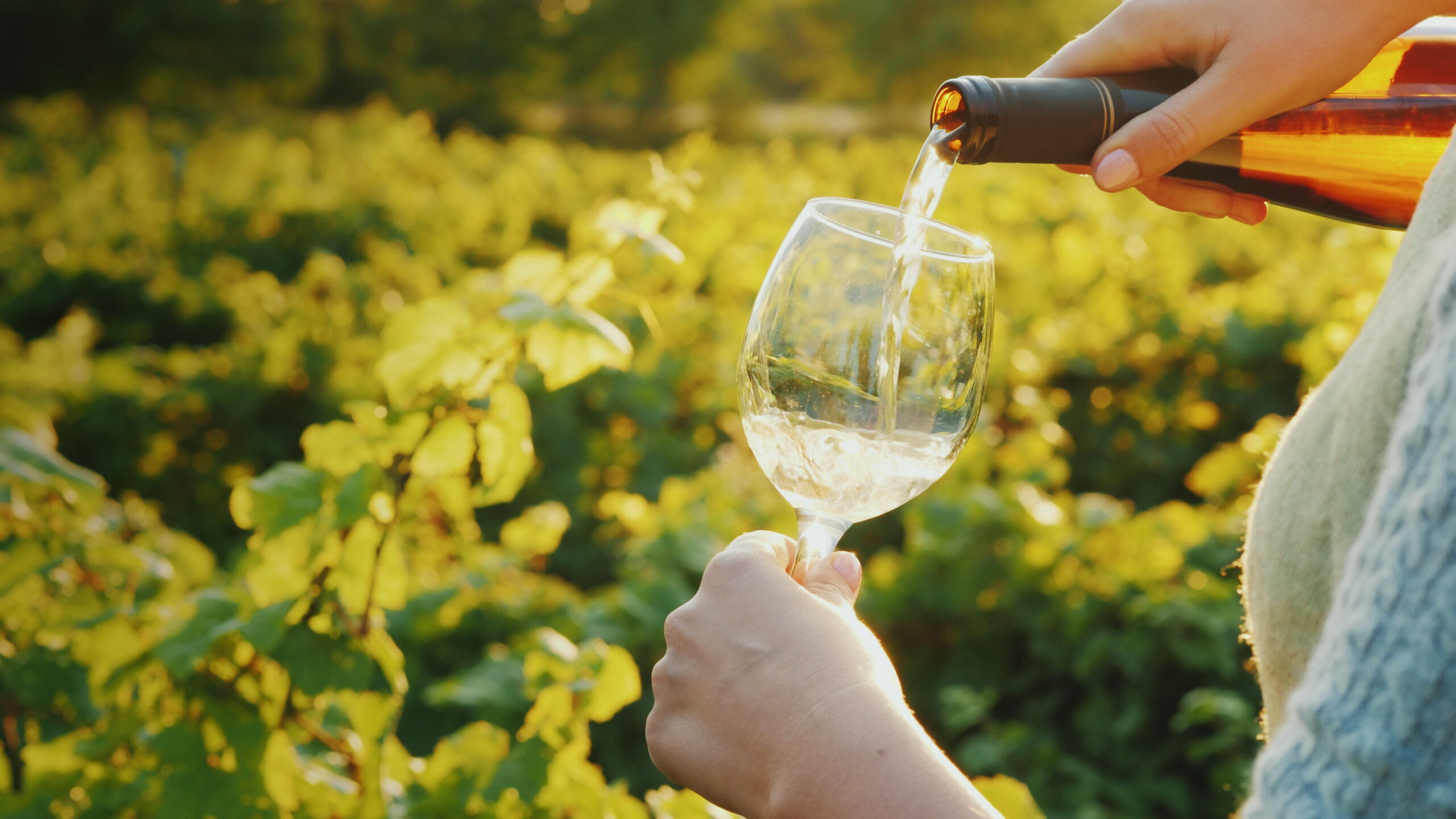 wijnglas wijngaard witte wijn pinot grigio